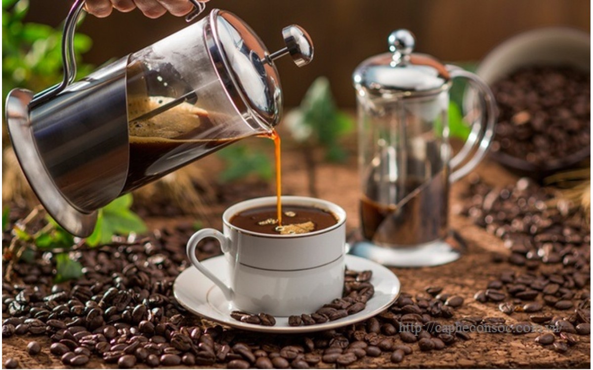 Pha cafe bằng bình French Press